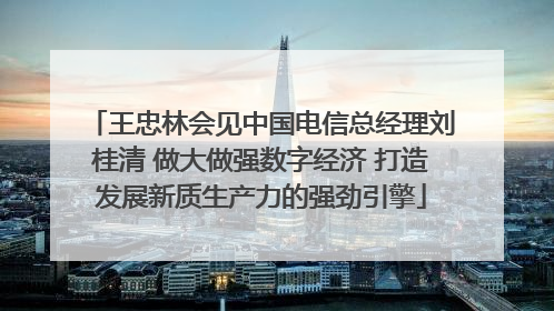 王忠林会见中国电信总经理刘桂清 做大做强数字经济 打造发展新质生产力的强劲引擎