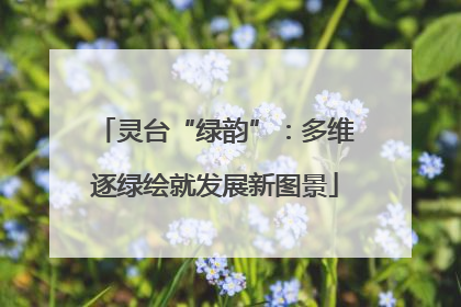 灵台“绿韵”：多维逐绿绘就发展新图景