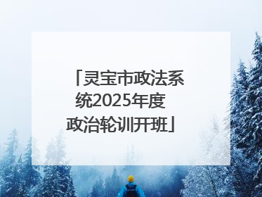灵宝市政法系统2025年度政治轮训开班