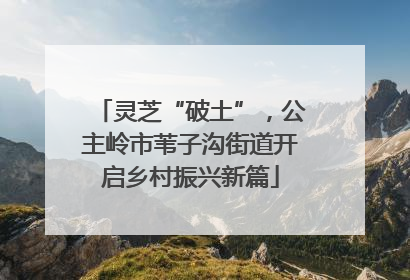 灵芝“破土”，公主岭市苇子沟街道开启乡村振兴新篇