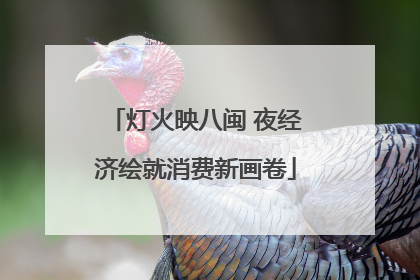 灯火映八闽 夜经济绘就消费新画卷