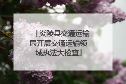 炎陵县交通运输局开展交通运输领域执法大检查