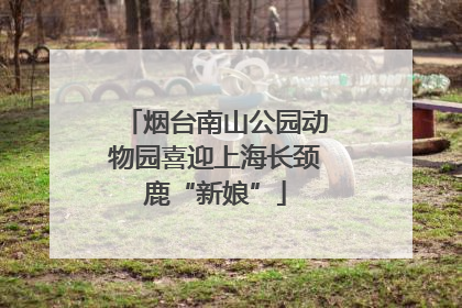 烟台南山公园动物园喜迎上海长颈鹿“新娘”