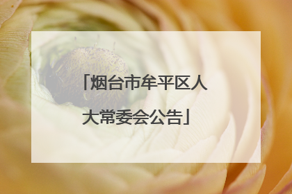烟台市牟平区人大常委会公告