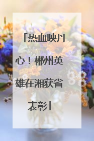 热血映丹心！郴州英雄在湘获省表彰