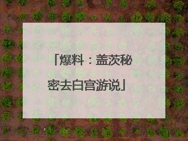 爆料：盖茨秘密去白宫游说