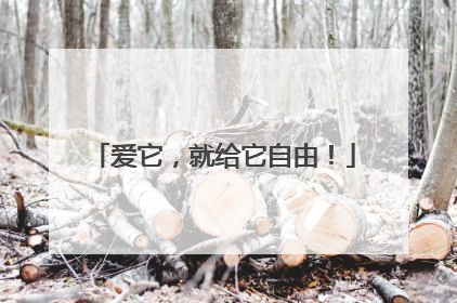 爱它，就给它自由！