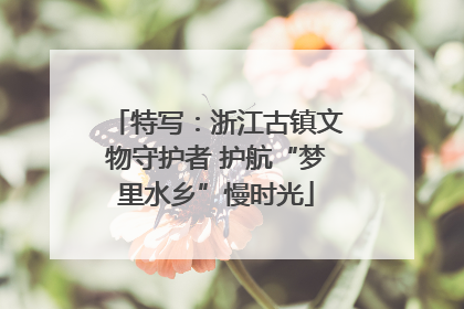 特写：浙江古镇文物守护者 护航“梦里水乡”慢时光