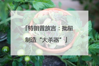 特朗普放言：批量制造“大杀器”