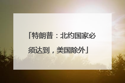 特朗普：北约国家必须达到，美国除外
