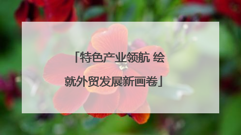 特色产业领航 绘就外贸发展新画卷