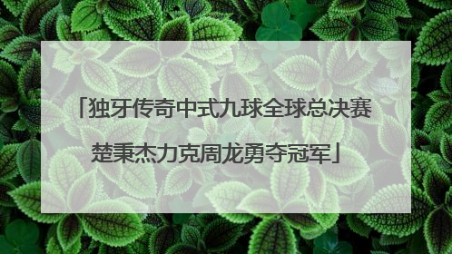独牙传奇中式九球全球总决赛 楚秉杰力克周龙勇夺冠军