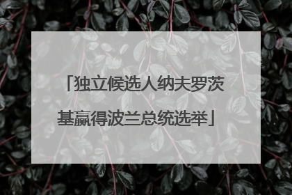 独立候选人纳夫罗茨基赢得波兰总统选举