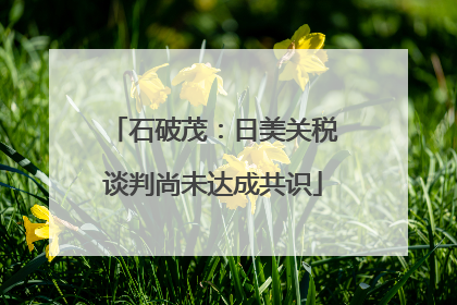 石破茂：日美关税谈判尚未达成共识