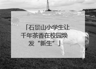 石景山小学生让千年茶香在校园焕发“新生”
