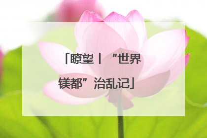 瞭望丨“世界镁都”治乱记