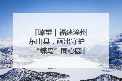 瞭望｜福建漳州东山县，画出守护“蝶岛”同心圆