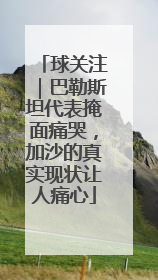 球关注｜巴勒斯坦代表掩面痛哭，加沙的真实现状让人痛心