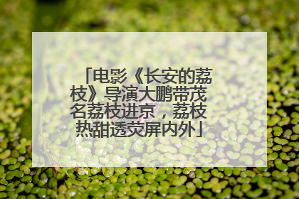 电影《长安的荔枝》导演大鹏带茂名荔枝进京，荔枝热甜透荧屏内外