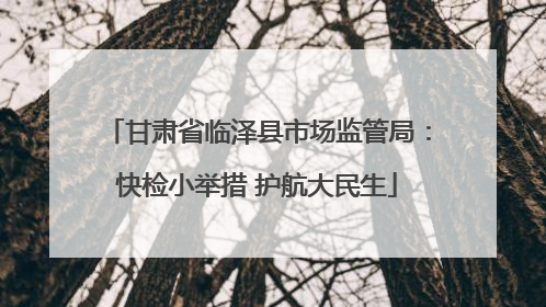 甘肃省临泽县市场监管局：快检小举措 护航大民生
