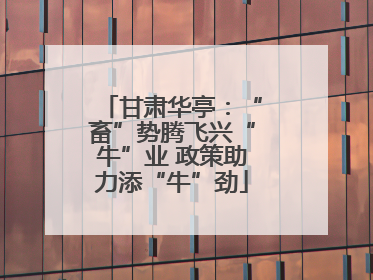 甘肃华亭：“畜”势腾飞兴“牛”业 政策助力添“牛”劲