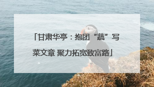 甘肃华亭：抱团“蔬”写菜文章 聚力拓宽致富路