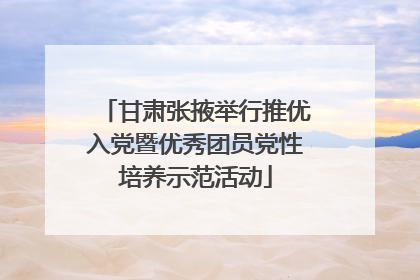 甘肃张掖举行推优入党暨优秀团员党性培养示范活动