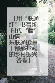 用“联通红”书写新时代“疆”山情——山东联通援疆干部郝兆武的乡村振兴答卷