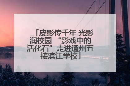 皮影传千年 光影润校园 “影戏中的活化石”走进通州五接滨江学校