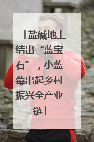 盐碱地上结出“蓝宝石”，小蓝莓串起乡村振兴全产业链