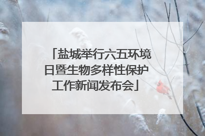 盐城举行六五环境日暨生物多样性保护工作新闻发布会