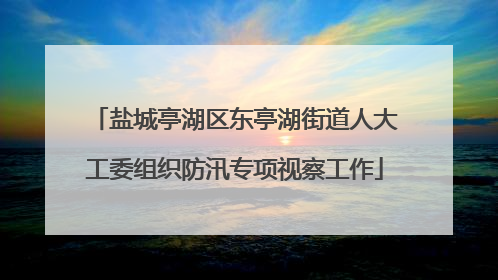 盐城亭湖区东亭湖街道人大工委组织防汛专项视察工作