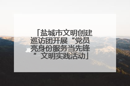 盐城市文明创建巡访团开展“党员亮身份服务当先锋”文明实践活动