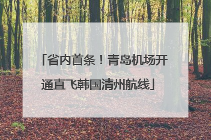 省内首条！青岛机场开通直飞韩国清州航线