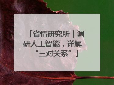 省情研究所｜调研人工智能，详解“三对关系”