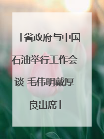 省政府与中国石油举行工作会谈 毛伟明戴厚良出席