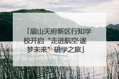 眉山天府新区行知学校开启“走进航空·逐梦未来”研学之旅