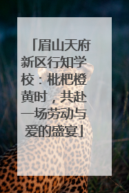 眉山天府新区行知学校：枇杷橙黄时，共赴一场劳动与爱的盛宴