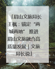 眉山文旅局长王枫：锚定“两城两地” 推进眉山文旅融合高质量发展｜文旅局长说