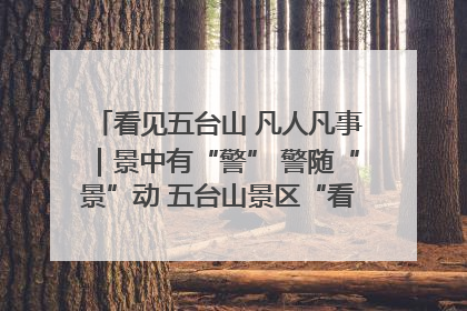 看见五台山 凡人凡事｜景中有“警” 警随“景”动 五台山景区“看得见”的平安守护