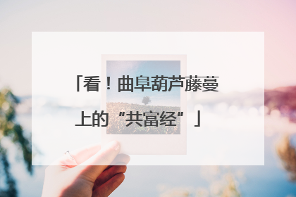 看！曲阜葫芦藤蔓上的“共富经”