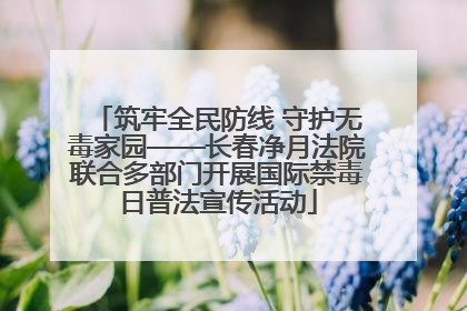 筑牢全民防线 守护无毒家园——长春净月法院联合多部门开展国际禁毒日普法宣传活动