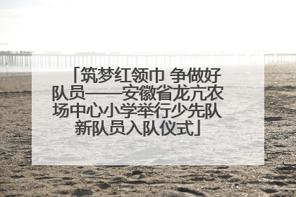 筑梦红领巾 争做好队员——安徽省龙亢农场中心小学举行少先队新队员入队仪式