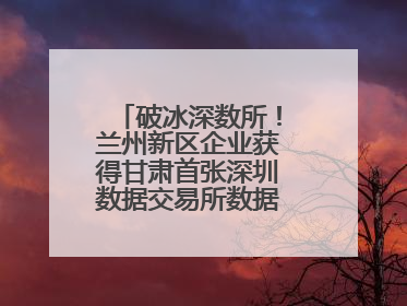 破冰深数所！兰州新区企业获得甘肃首张深圳数据交易所数据产权登记证书