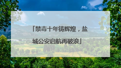 禁毒十年铸辉煌，盐城公安启航再破浪