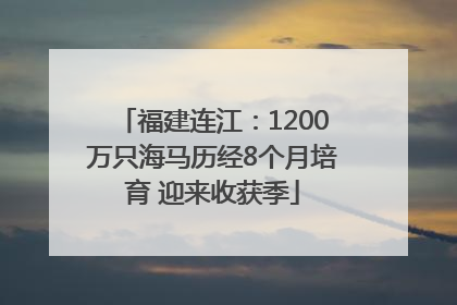 福建连江：1200万只海马历经8个月培育 迎来收获季