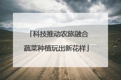 科技推动农旅融合 蔬菜种植玩出新花样
