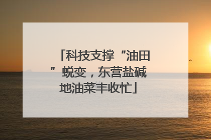 科技支撑“油田”蜕变，东营盐碱地油菜丰收忙