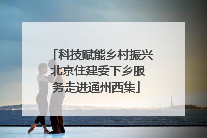 科技赋能乡村振兴 北京住建委下乡服务走进通州西集