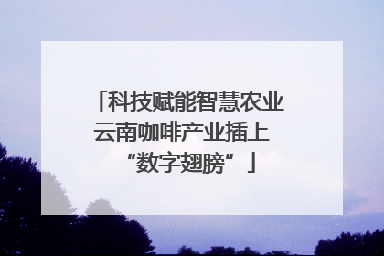 科技赋能智慧农业 云南咖啡产业插上“数字翅膀”